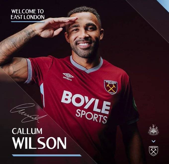 爱游戏体育app-官方：西汉姆联免签纽卡斯尔前锋卡勒姆-威尔逊