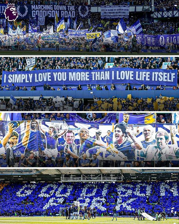 爱游戏体育官网-原址不荒废埃弗顿官方：古迪逊公园将成为埃弗顿女足永久主场